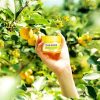 Some By Mi Yuja Niacin 30 Days Miracle Brightening Sleeping Mask 60ml