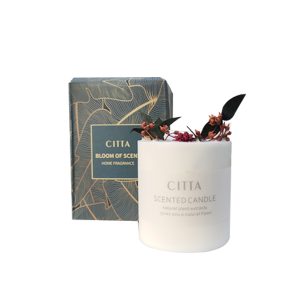 Citta Strong Scented Aromatherapy Candles (Without Glass Cover) SKN02